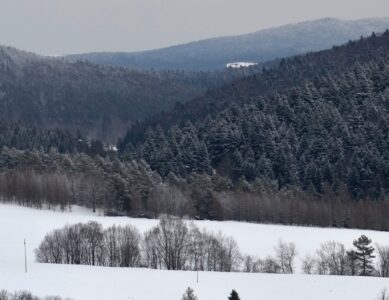 Warto przeczytać: Maria Strzelecka  „Po naszomu”
