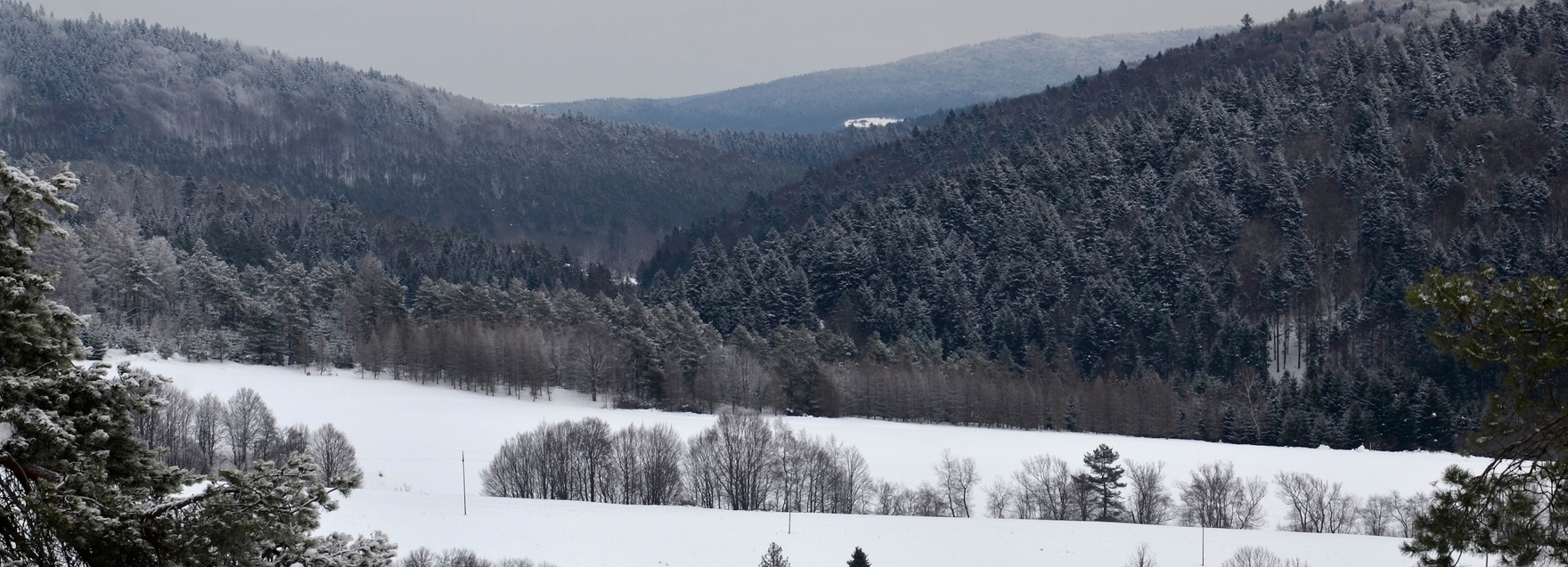 Warto przeczytać: Maria Strzelecka  „Po naszomu”